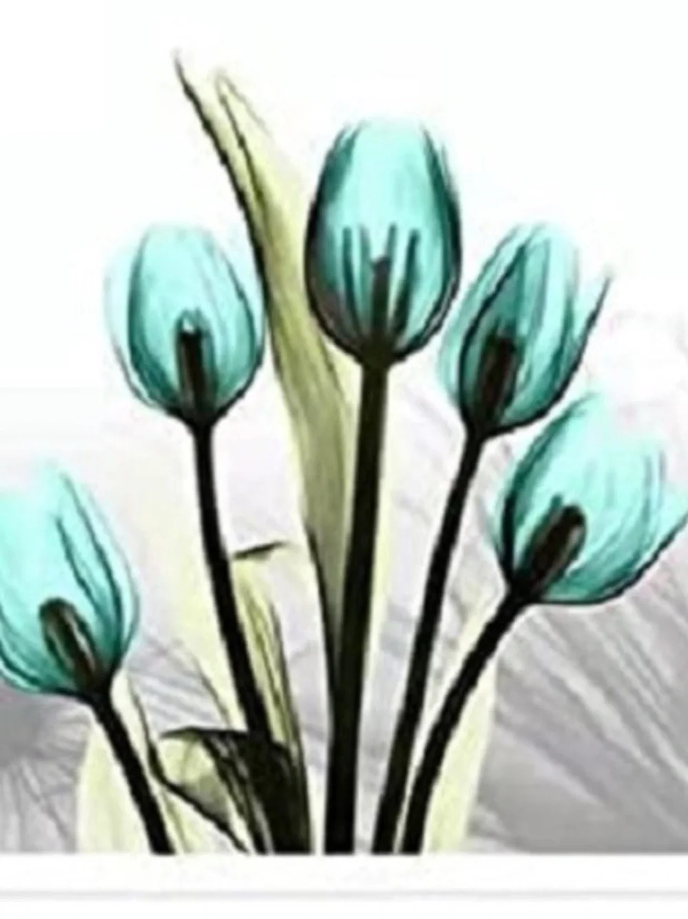 Hand-Painted Tulip Canvas Wall Art - Set of 4